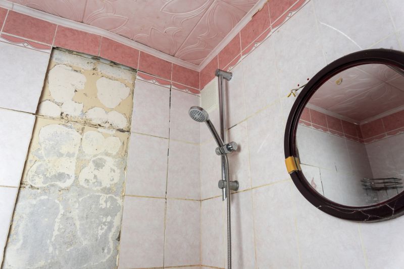 Top Shower Remodeling Companies in Hazel Park, MI