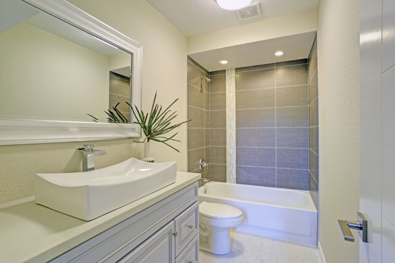 Top Tub To Shower Conversion Companies in Romulus, MI